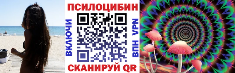 магазин продажи наркотиков  Фатеж  Псилоцибиновые грибы мицелий 