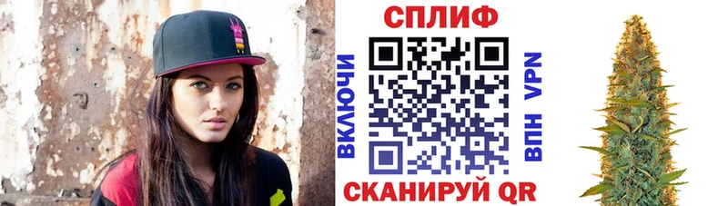 Каннабис планчик  Фатеж 